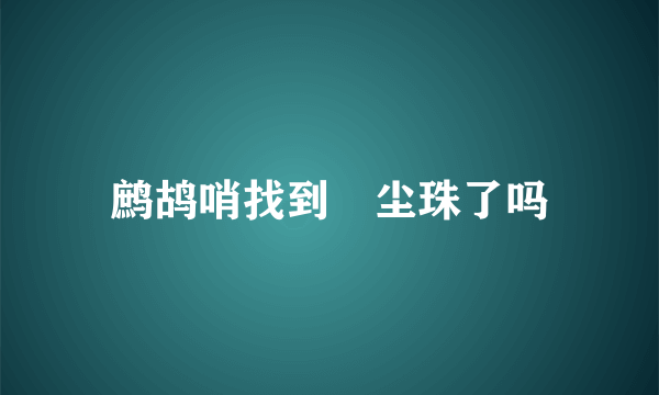 鹧鸪哨找到雮尘珠了吗