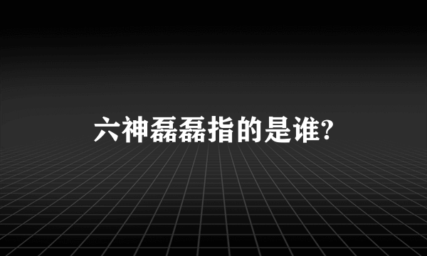 六神磊磊指的是谁?