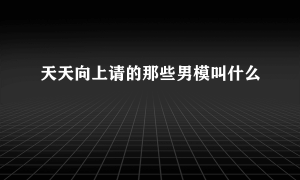 天天向上请的那些男模叫什么