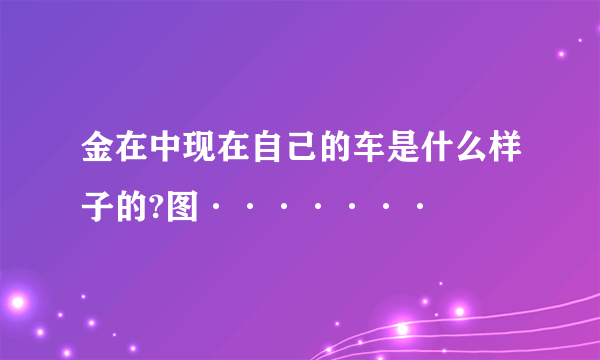 金在中现在自己的车是什么样子的?图·······