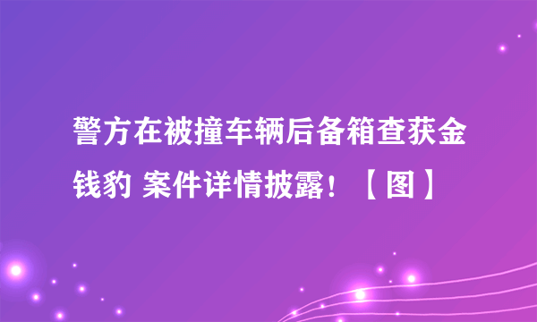 警方在被撞车辆后备箱查获金钱豹 案件详情披露！【图】