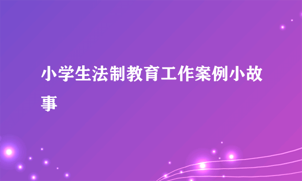 小学生法制教育工作案例小故事