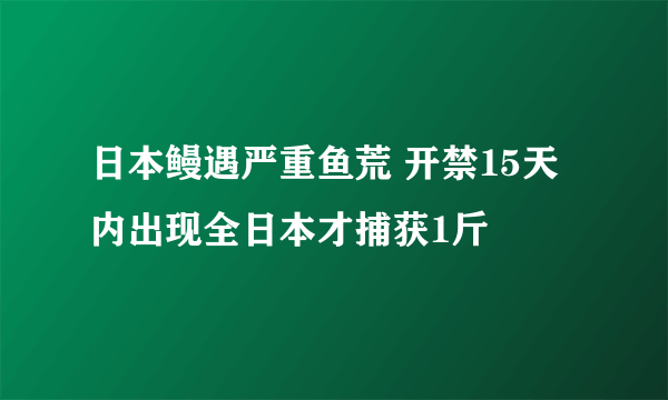 日本鳗遇严重鱼荒 开禁15天内出现全日本才捕获1斤