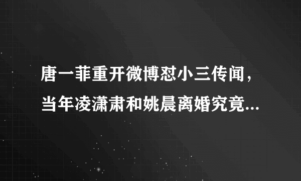 唐一菲重开微博怼小三传闻，当年凌潇肃和姚晨离婚究竟有什么内幕？