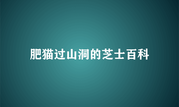 肥猫过山洞的芝士百科