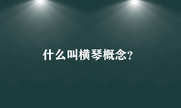 什么叫横琴概念？