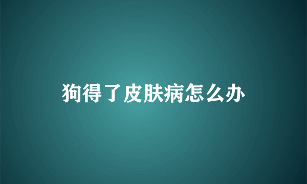 狗得了皮肤病怎么办