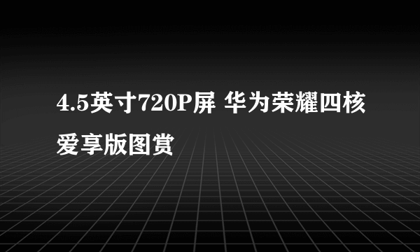 4.5英寸720P屏 华为荣耀四核爱享版图赏