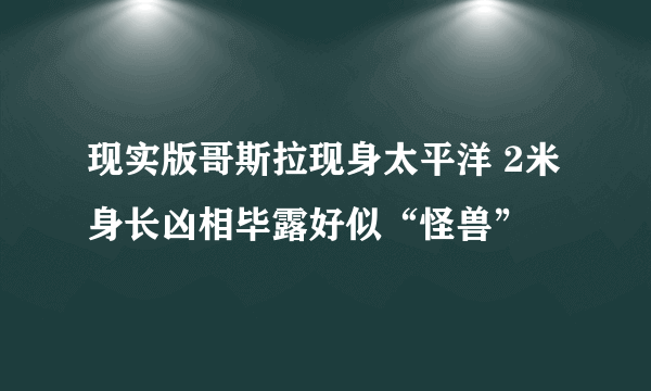 现实版哥斯拉现身太平洋 2米身长凶相毕露好似“怪兽”