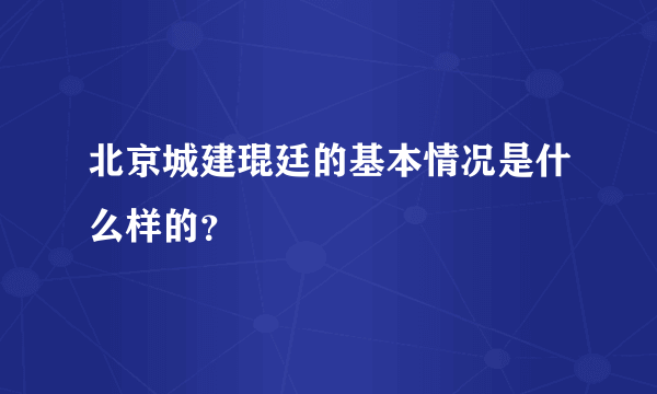 北京城建琨廷的基本情况是什么样的？