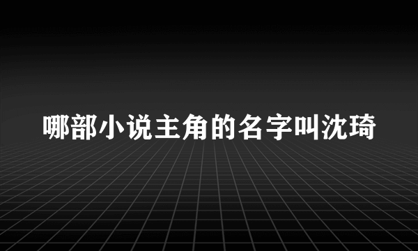 哪部小说主角的名字叫沈琦