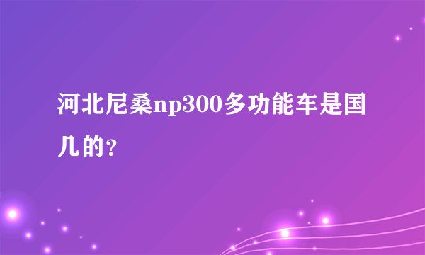 河北尼桑np300多功能车是国几的？