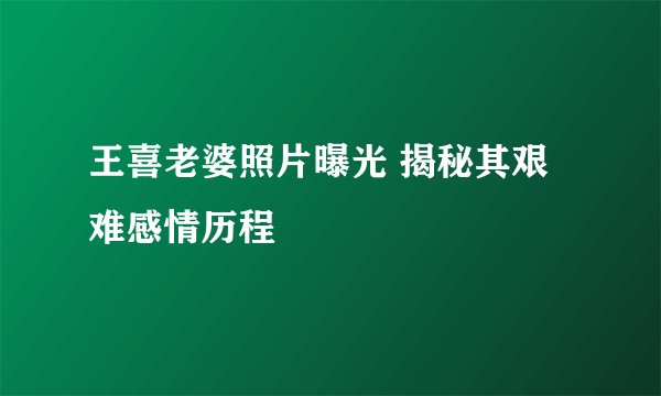 王喜老婆照片曝光 揭秘其艰难感情历程