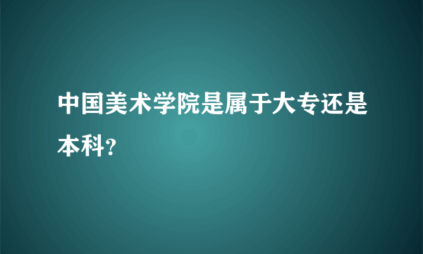 中国美术学院是属于大专还是本科？