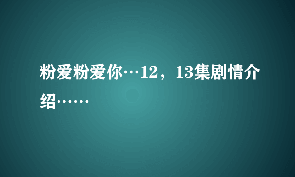 粉爱粉爱你…12，13集剧情介绍……