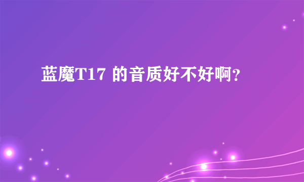 蓝魔T17 的音质好不好啊？