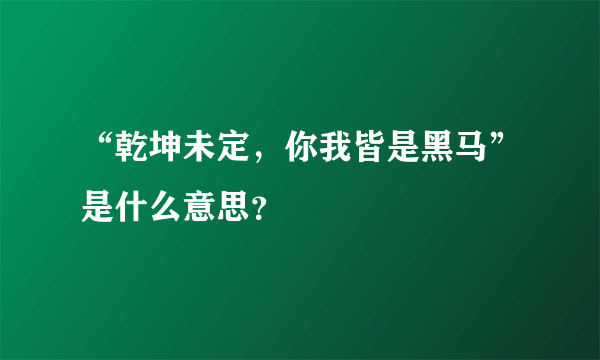 “乾坤未定，你我皆是黑马”是什么意思？