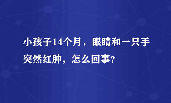 小孩子14个月，眼睛和一只手突然红肿，怎么回事？