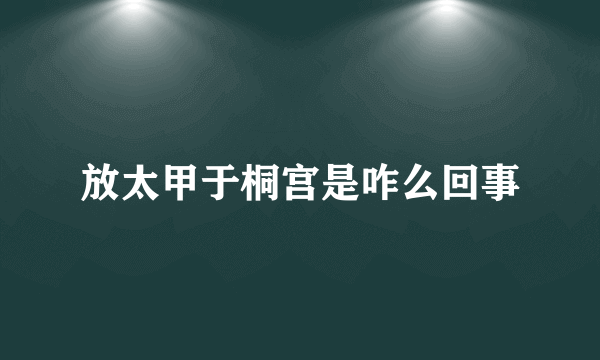 放太甲于桐宫是咋么回事