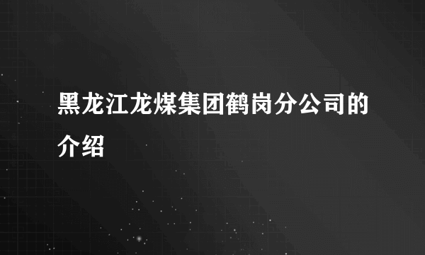 黑龙江龙煤集团鹤岗分公司的介绍