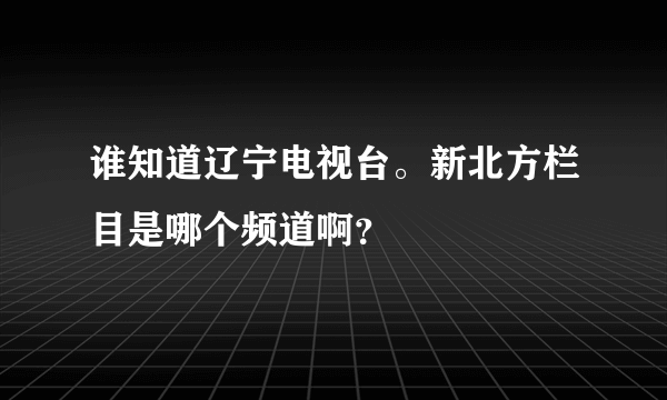 谁知道辽宁电视台。新北方栏目是哪个频道啊？