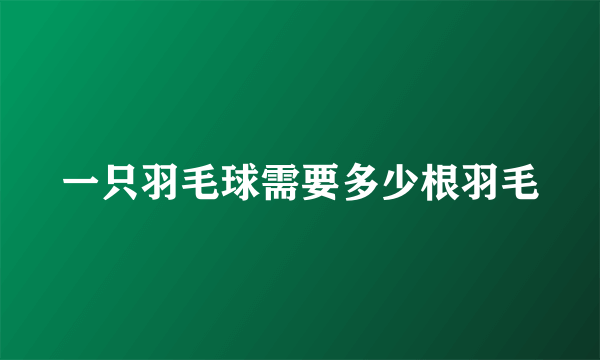 一只羽毛球需要多少根羽毛