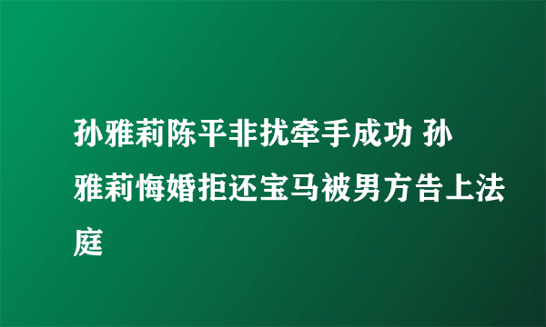 孙雅莉陈平非扰牵手成功 孙雅莉悔婚拒还宝马被男方告上法庭