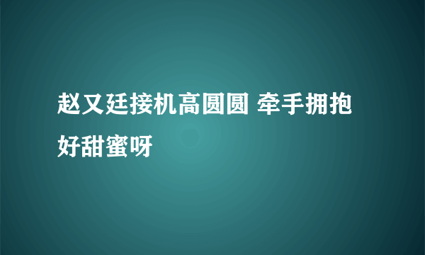 赵又廷接机高圆圆 牵手拥抱好甜蜜呀