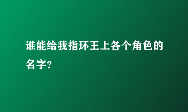 谁能给我指环王上各个角色的名字？