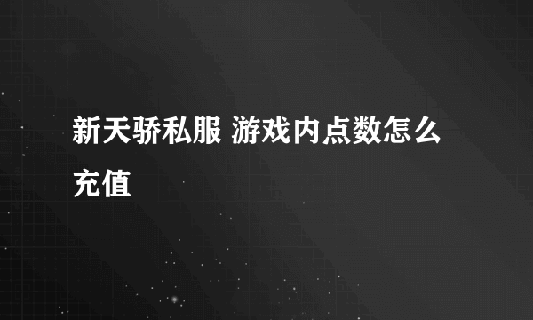 新天骄私服 游戏内点数怎么充值