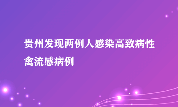 贵州发现两例人感染高致病性禽流感病例