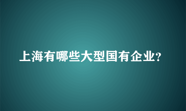 上海有哪些大型国有企业？