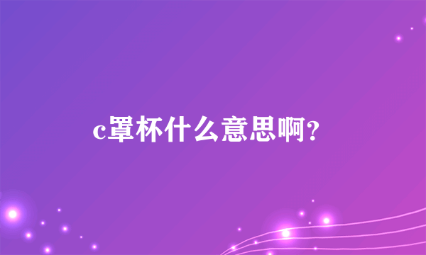 c罩杯什么意思啊？