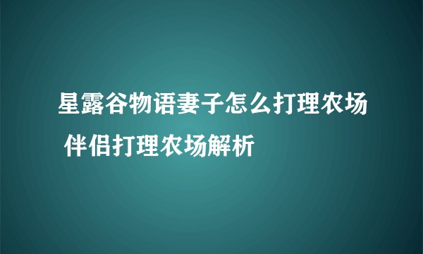 星露谷物语妻子怎么打理农场 伴侣打理农场解析