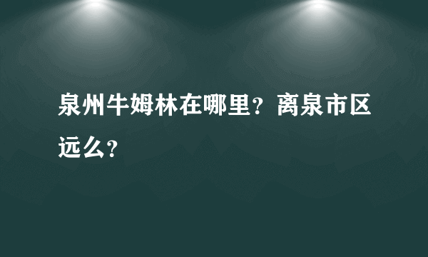 泉州牛姆林在哪里？离泉市区远么？