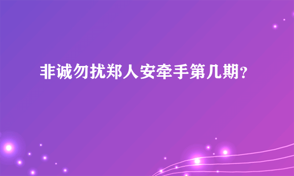 非诚勿扰郑人安牵手第几期？