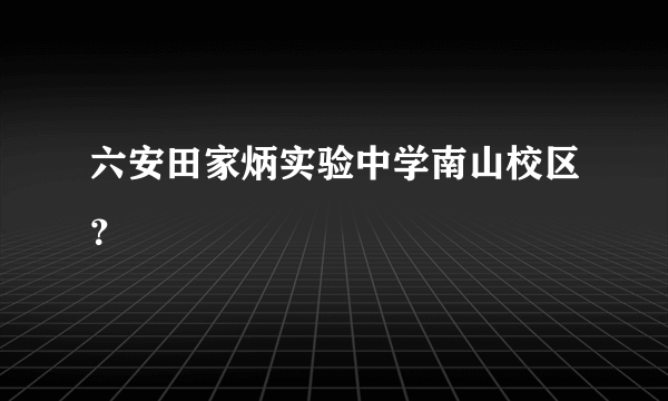 六安田家炳实验中学南山校区？