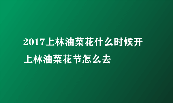 2017上林油菜花什么时候开 上林油菜花节怎么去