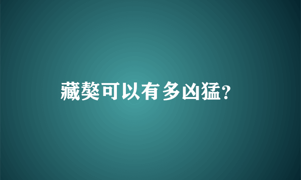 藏獒可以有多凶猛？