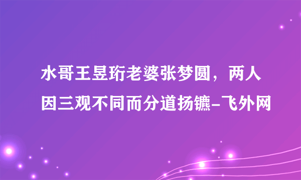 水哥王昱珩老婆张梦圆，两人因三观不同而分道扬镳-飞外网