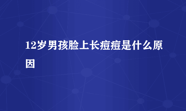 12岁男孩脸上长痘痘是什么原因