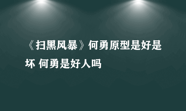 《扫黑风暴》何勇原型是好是坏 何勇是好人吗