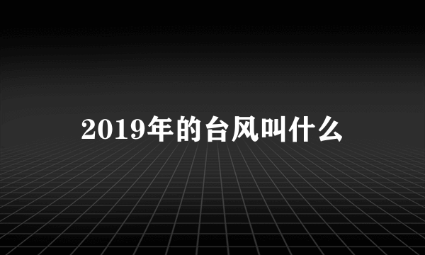 2019年的台风叫什么