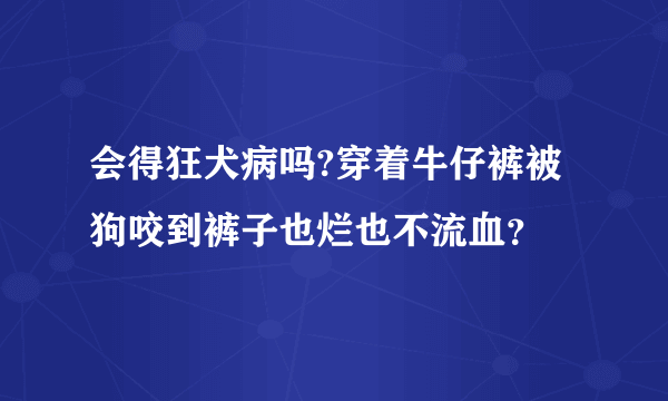 会得狂犬病吗?穿着牛仔裤被狗咬到裤子也烂也不流血？