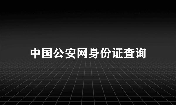 中国公安网身份证查询