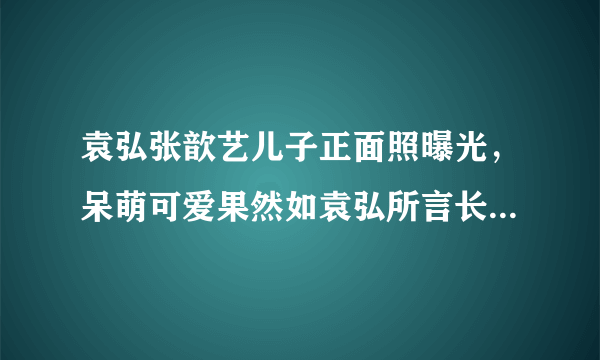 袁弘张歆艺儿子正面照曝光，呆萌可爱果然如袁弘所言长得像妈妈