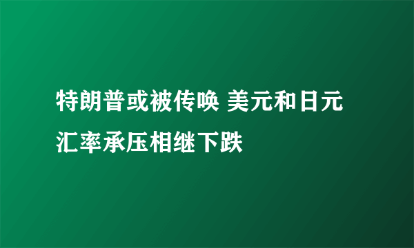 特朗普或被传唤 美元和日元汇率承压相继下跌