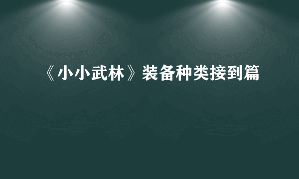 《小小武林》装备种类接到篇