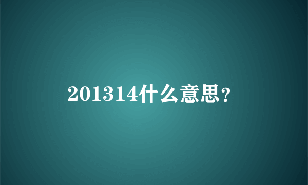 201314什么意思？