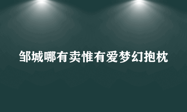 邹城哪有卖惟有爱梦幻抱枕